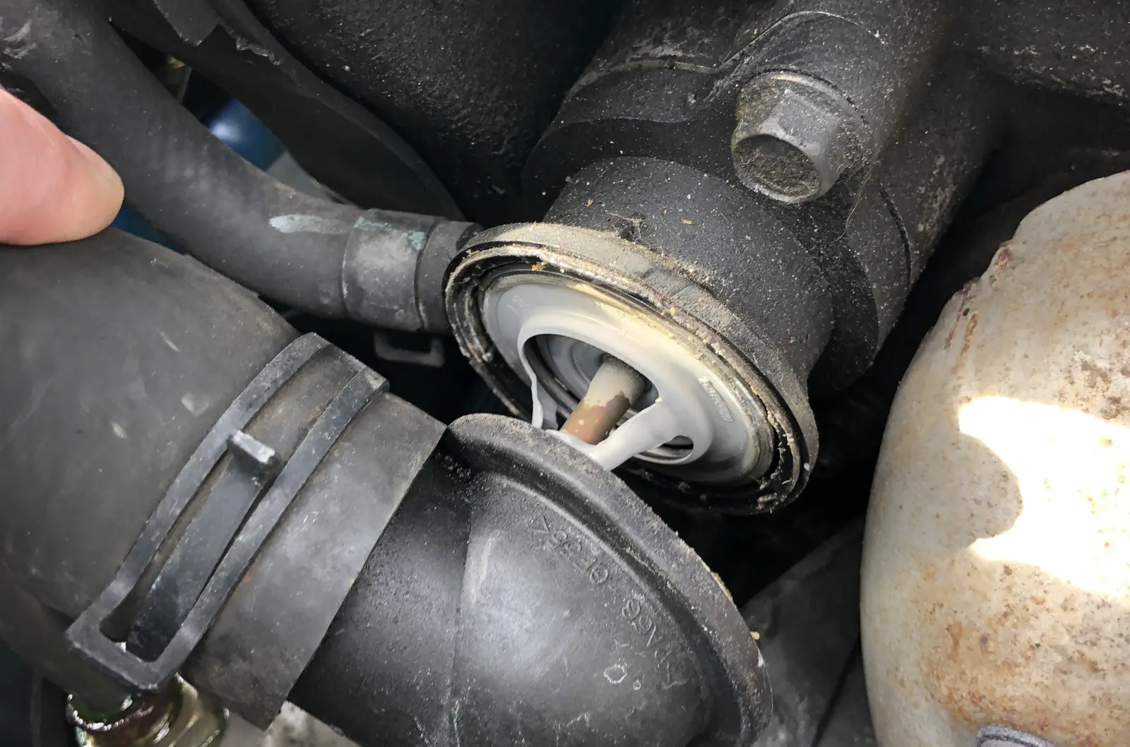 Motor üzerinde açılmış termostat gövdesi, termostat ve hortum bağlantısı